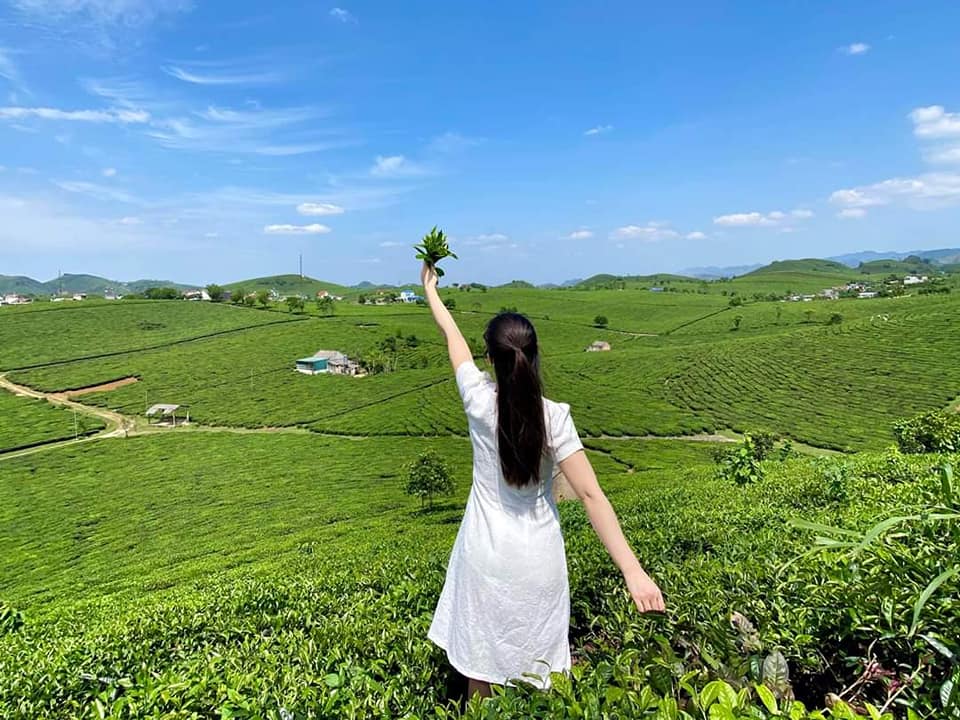 THÁI NGUYÊN - MỘC CHÂU - 2 NGÀY 1 ĐÊM1
