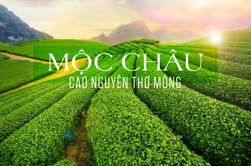 THÁI NGUYÊN - MỘC CHÂU - 2 NGÀY 1 ĐÊM3