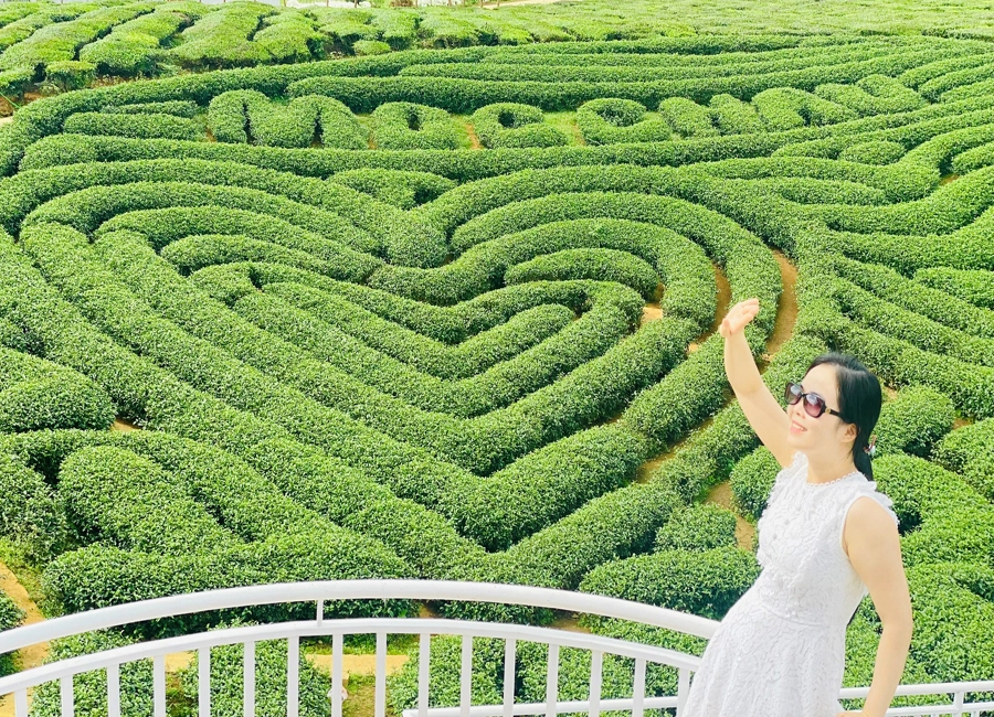 THÁI NGUYÊN - MỘC CHÂU - 2 NGÀY 1 ĐÊM2