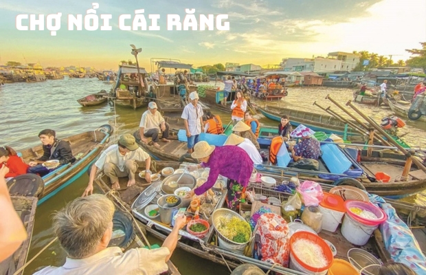 THÁI NGUYÊN - CẦN THƠ - BẠC LIÊU - CÀ MAU - 5N4Đ1